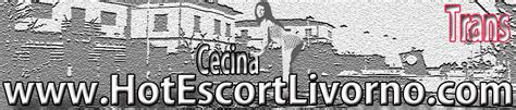 Trans Cecina, Top Trans e transex a Cecina